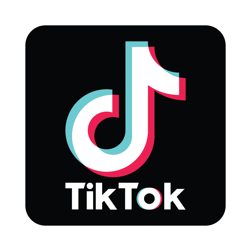 tiktok icon